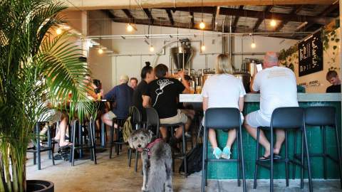 Interiors of Future Brewing in St Peters.