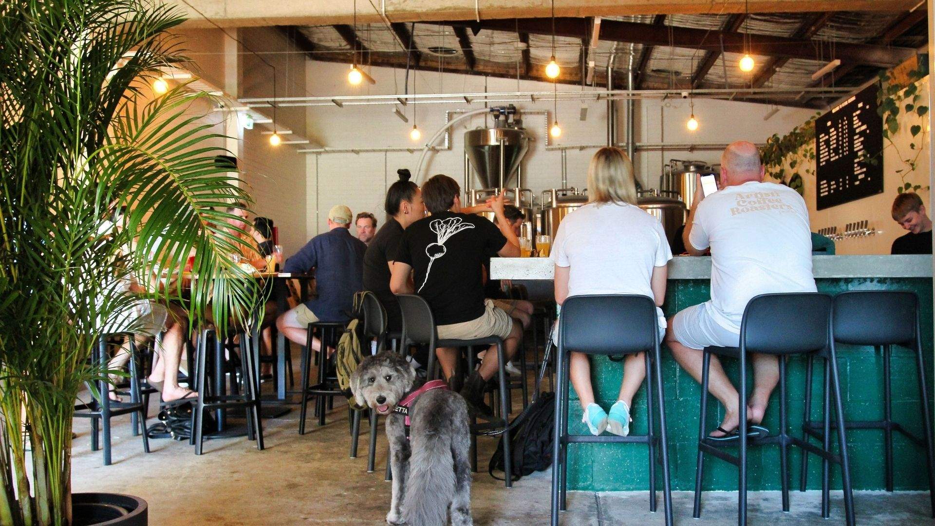 Future Brewing Is St Peters' New Cali-Style Microbrewery Pouring Boundary-Pushing Beer