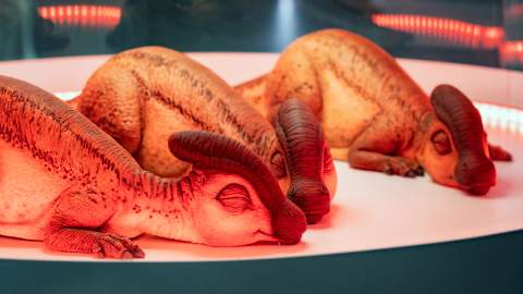 'Jurassic World': The Exhibition