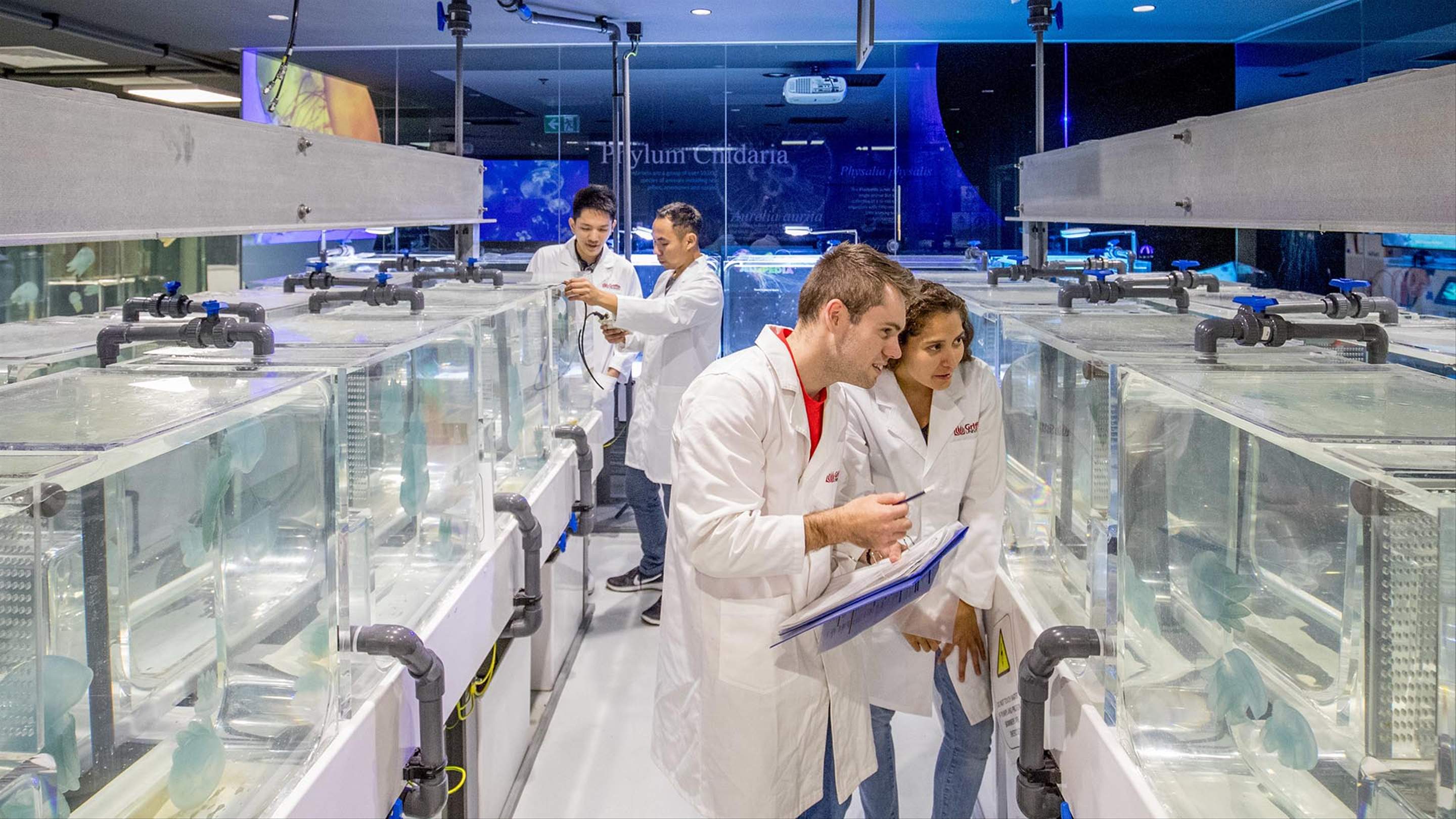 Eight Events to Catch During World Science Festival Brisbane 2024