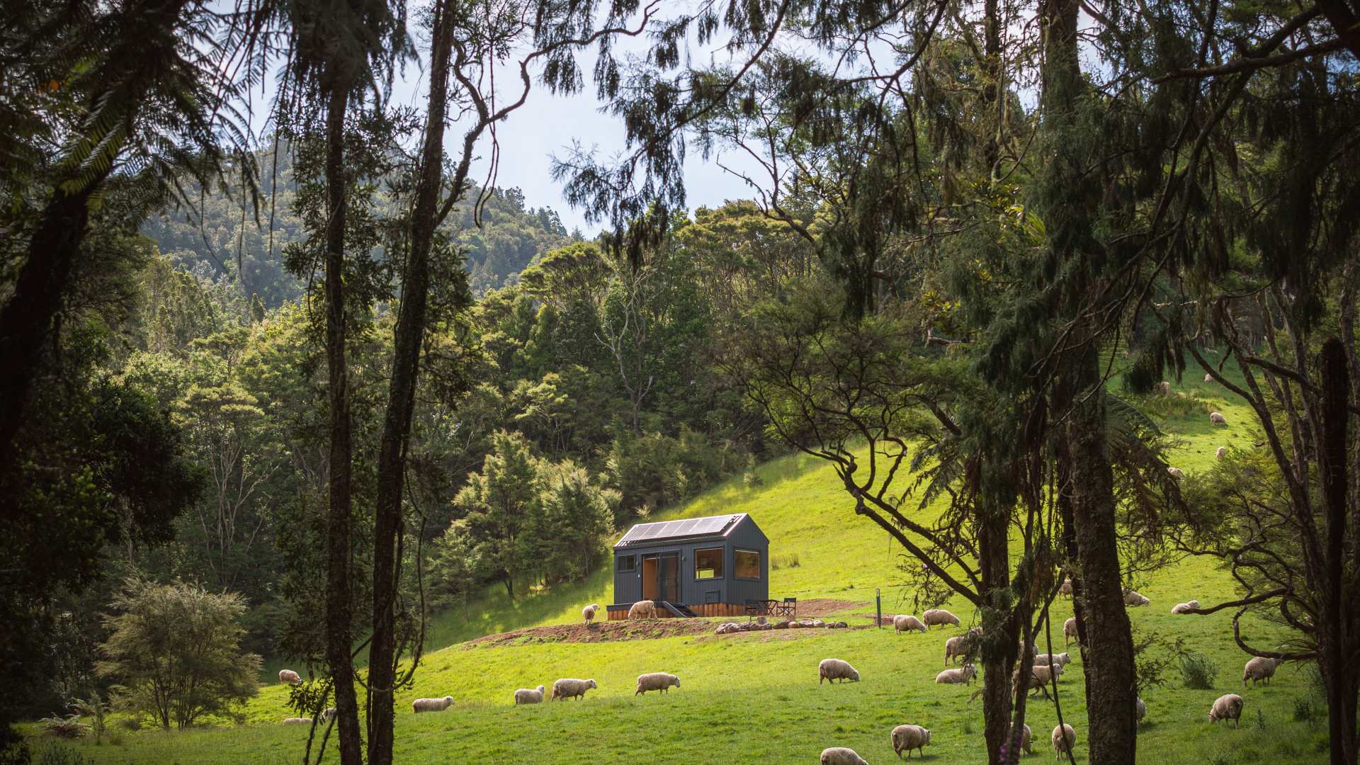 Unyoked Has Built Three New Cabins in the Kawakawa Bay Wilderness to Help You Relax and Recharge