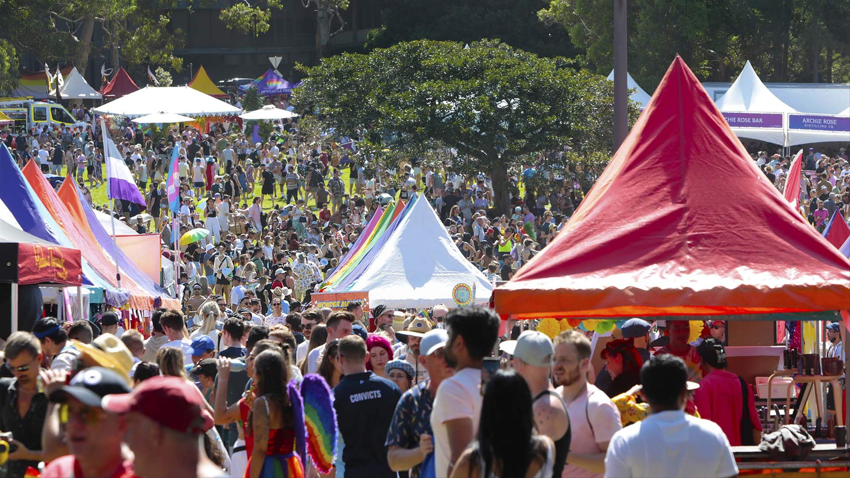 mardi gras fair day asbestos