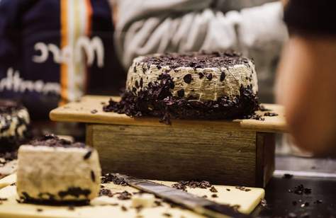 Cheese Alert: Australian Dairy Festival Mould and Its All-Inclusive Tastings Are Returning for 2024