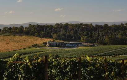 Background image for Now Open: Re'em Yarra Valley Has Brought Refined Chinese Eats and Boutique Hotel Rooms to the Famed Wine Region