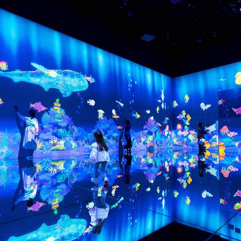 teamLab Borderless