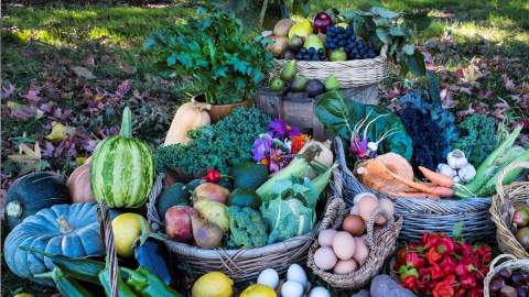 National Farmers' Markets Week 2024