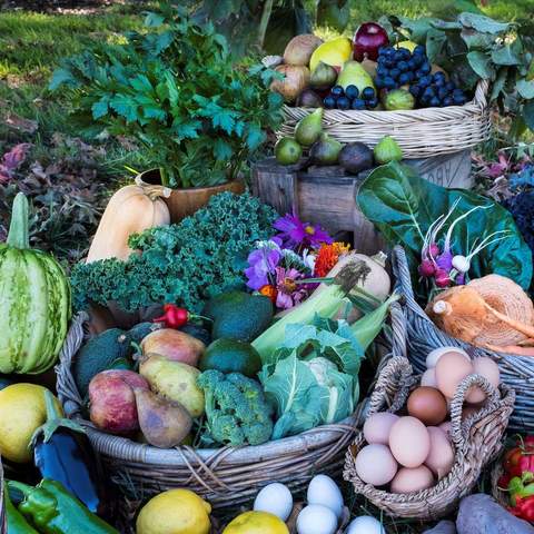 National Farmers' Markets Week 2024