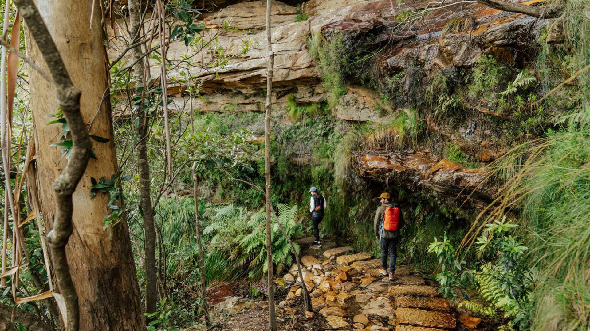 A Spectacular New Two-Day, 19-Kilometre Clifftop Walk Has Opened in the Blue Mountains