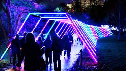 Dazzling After-Dark Festival Lightscape Is Returning to the Royal Botanic Garden Sydney for Vivid 2024