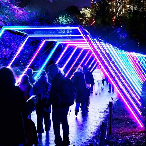 Dazzling After-Dark Festival Lightscape Is Returning to the Royal Botanic Garden Sydney for Vivid 2024