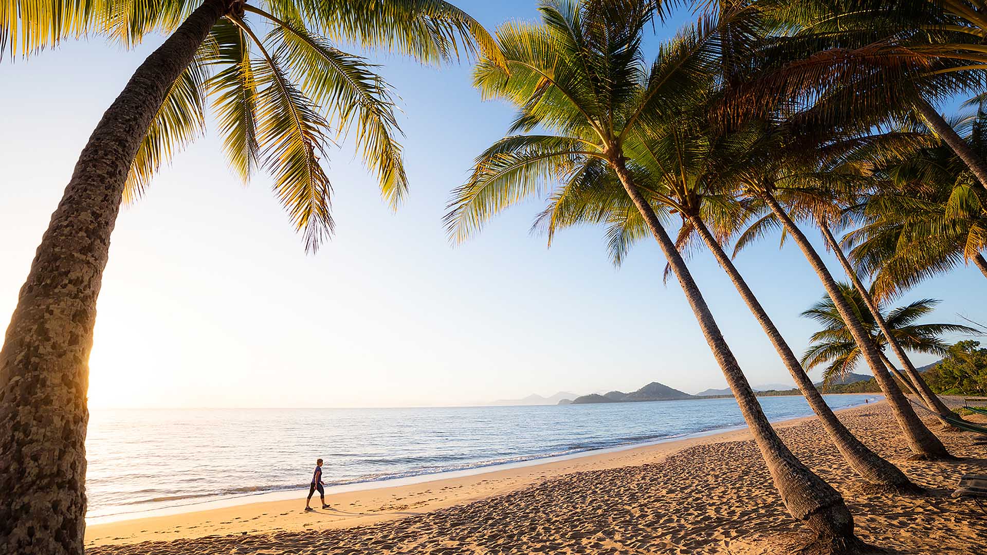 Beach Palm Cove Queensland