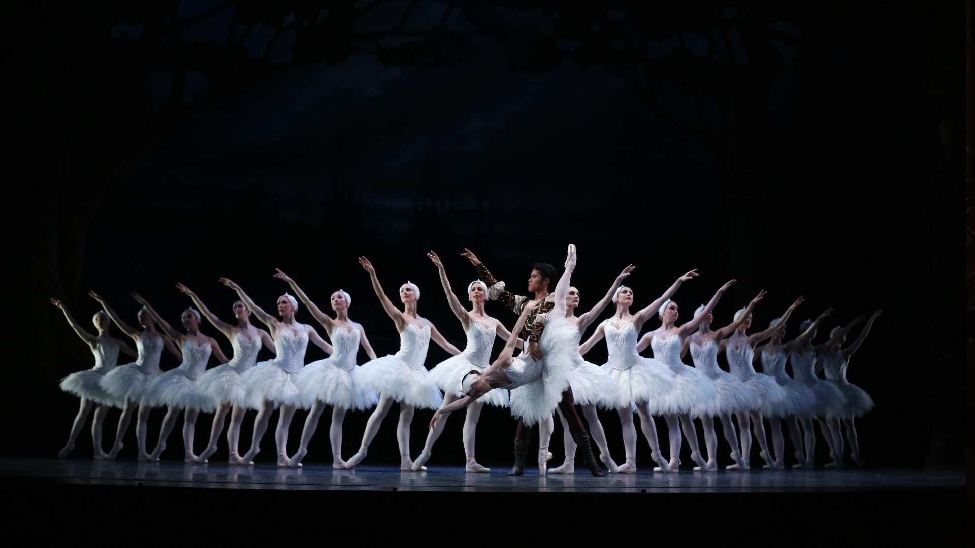 The Royal New Zealand Ballet Will Perform 'Swan Lake' Across Aotearoa This May