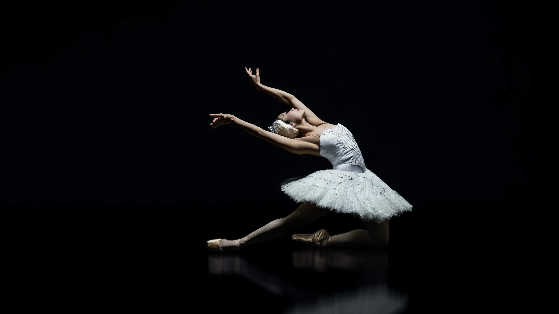 The Royal New Zealand Ballet Will Perform 'Swan Lake' Across Aotearoa This May