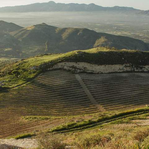 Zacharioudakis Winery