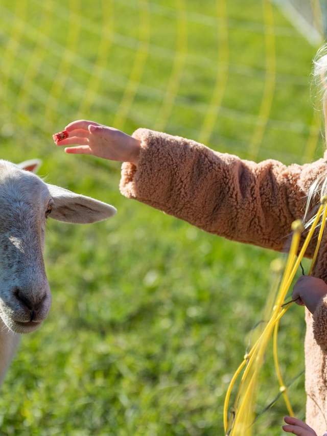 Central Coast Events to Hit on a Weekend Adventure This June