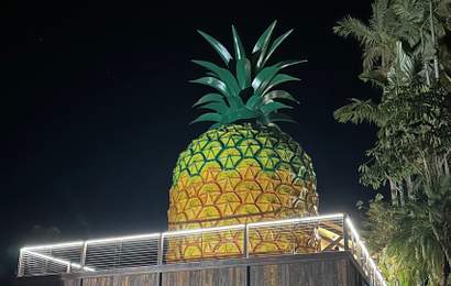 Background image for The Big Pineapple Has Reopened with a New Cafe and Viewing Platform After an Extensive Renovation