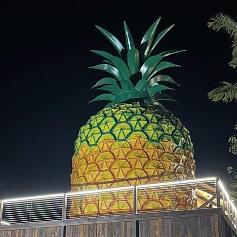 The Big Pineapple Has Reopened with a New Cafe and Viewing Platform After an Extensive Renovation