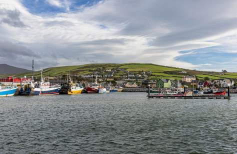 Dingle