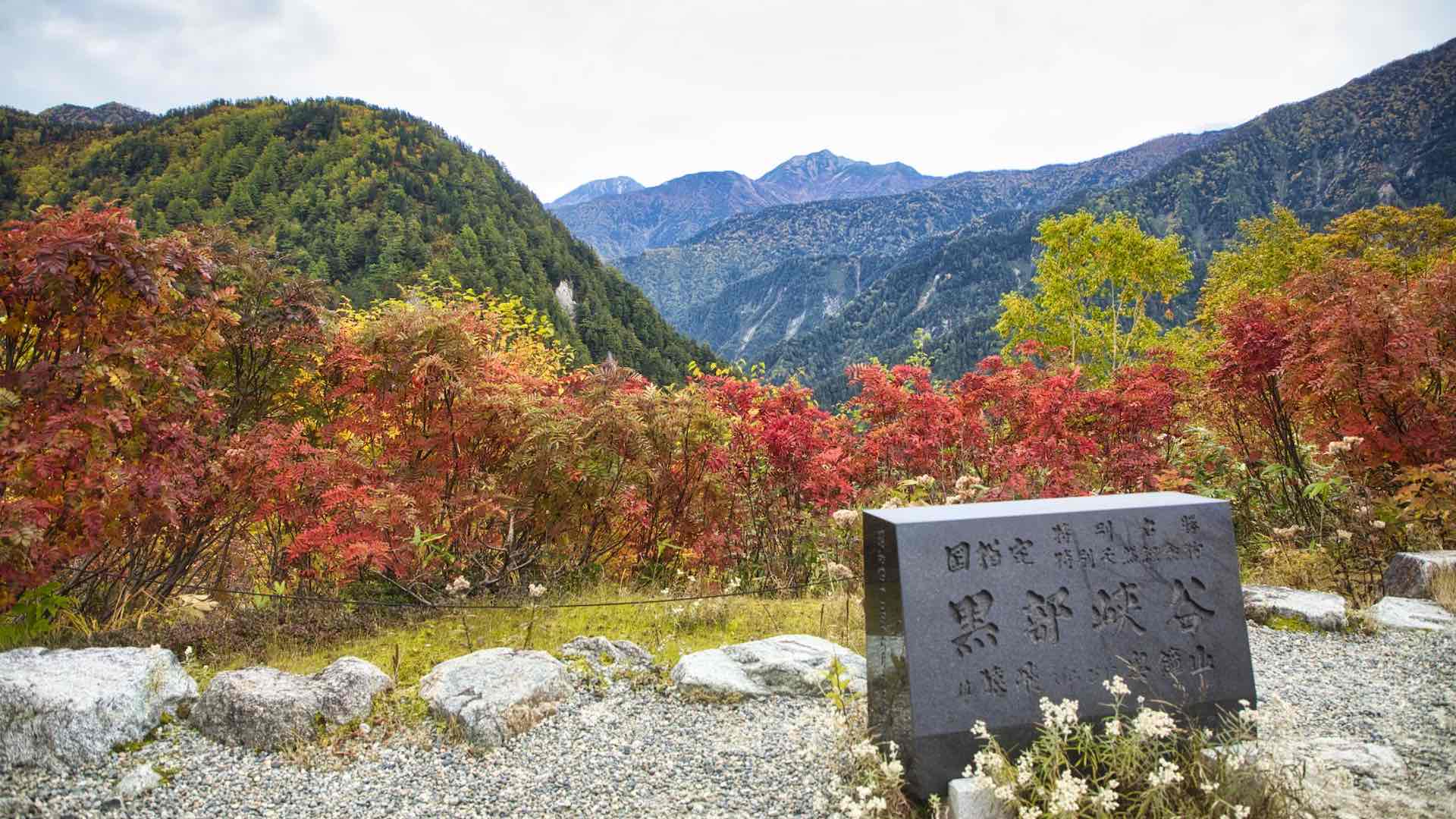 Sights of the Rising Sun: Where to Find Japan's Gorgeous Natural Gems