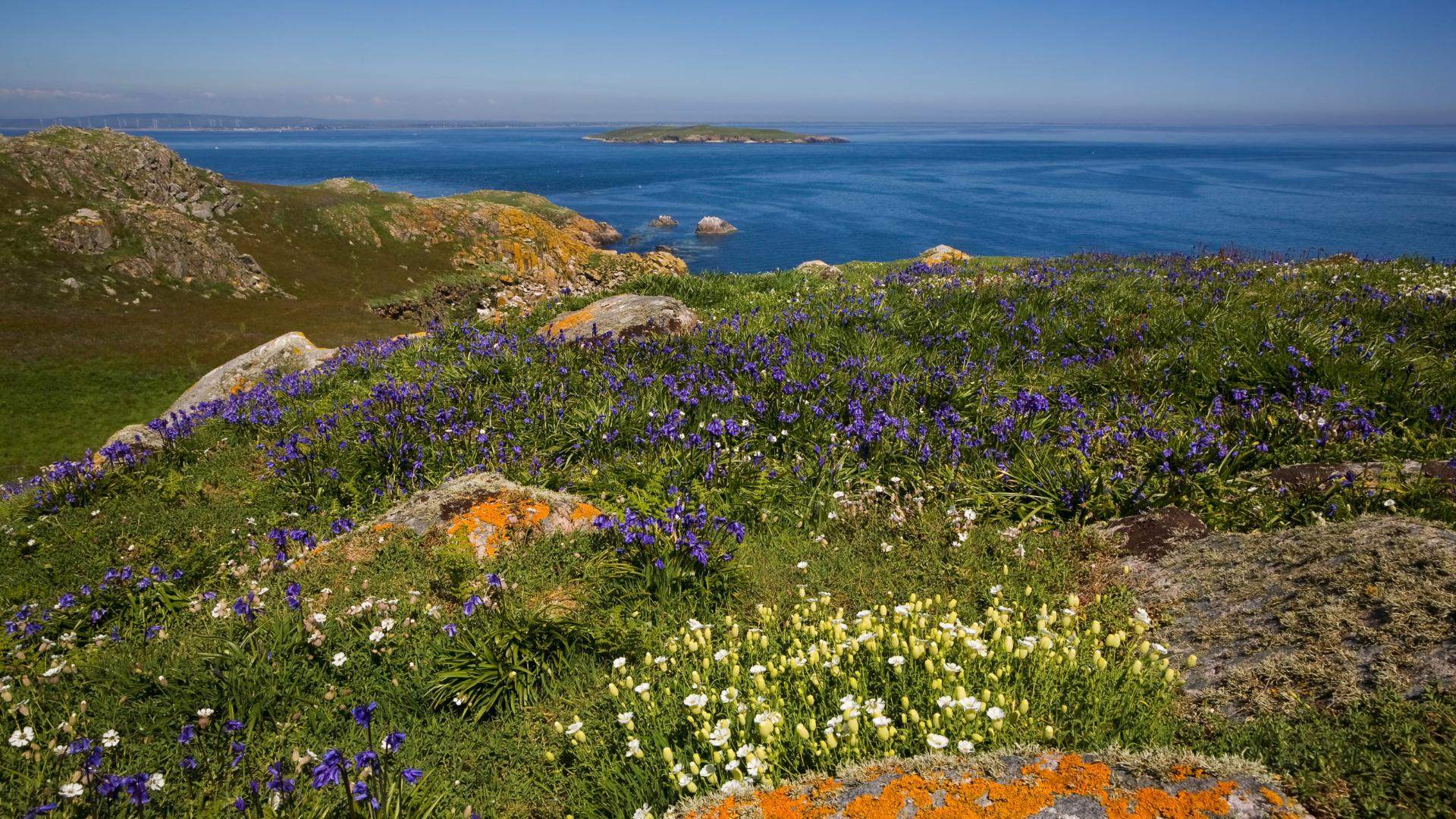 Saltee Islands