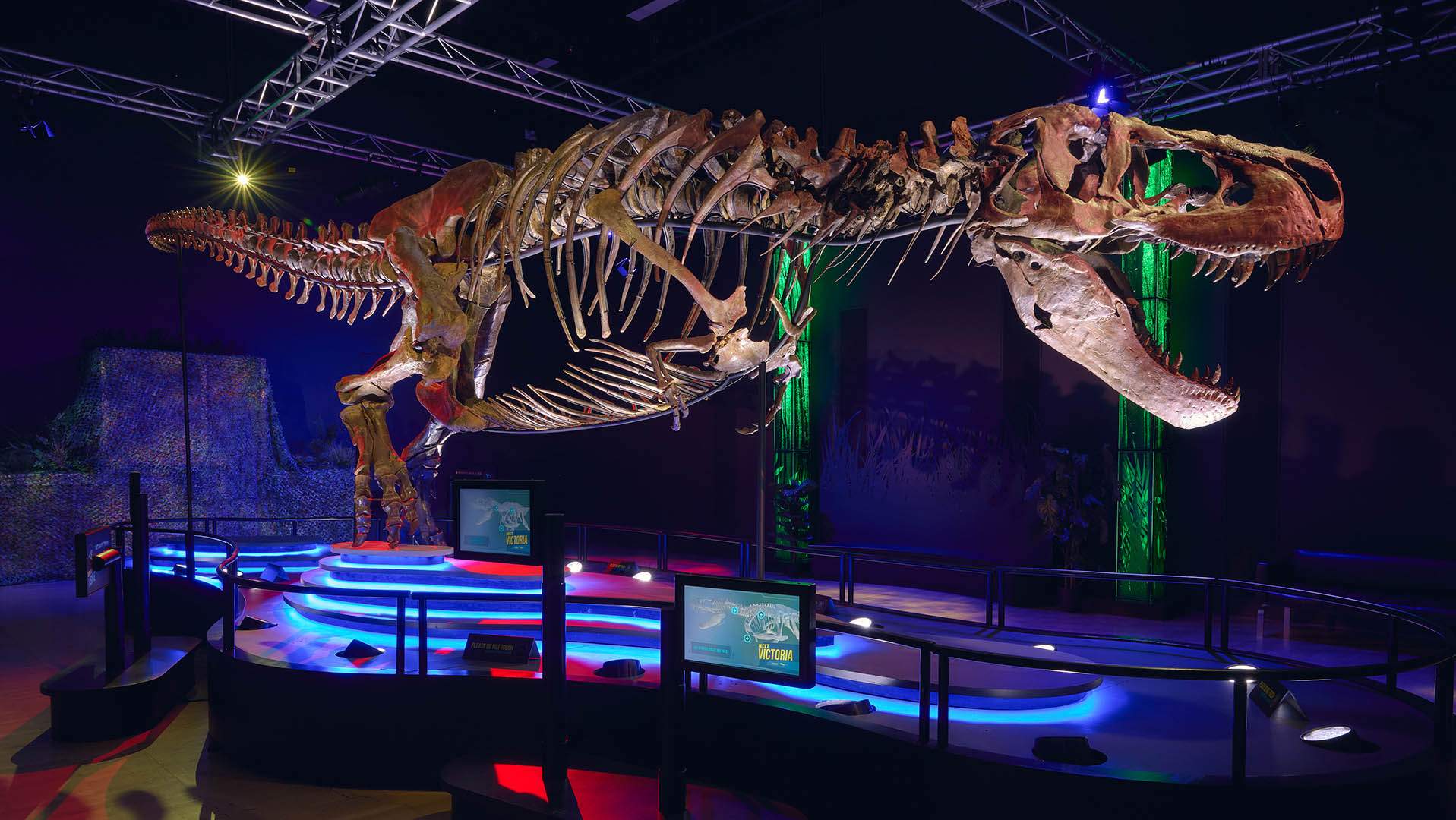 Now Open: The Largest and Most-Complete Tyrannosaurus Rex Fossil Ever Seen in Australia Is on Display in Melbourne