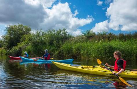 Shannon Blueway Kayaking