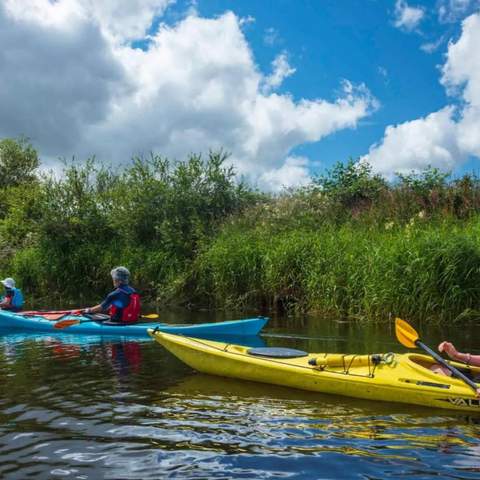 Shannon Blueway Kayaking