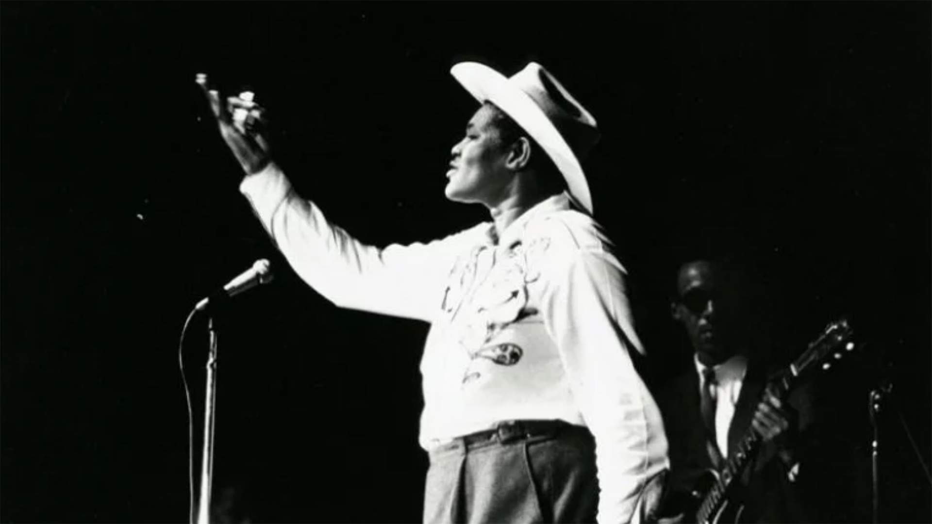 Strobe Music Film Festival