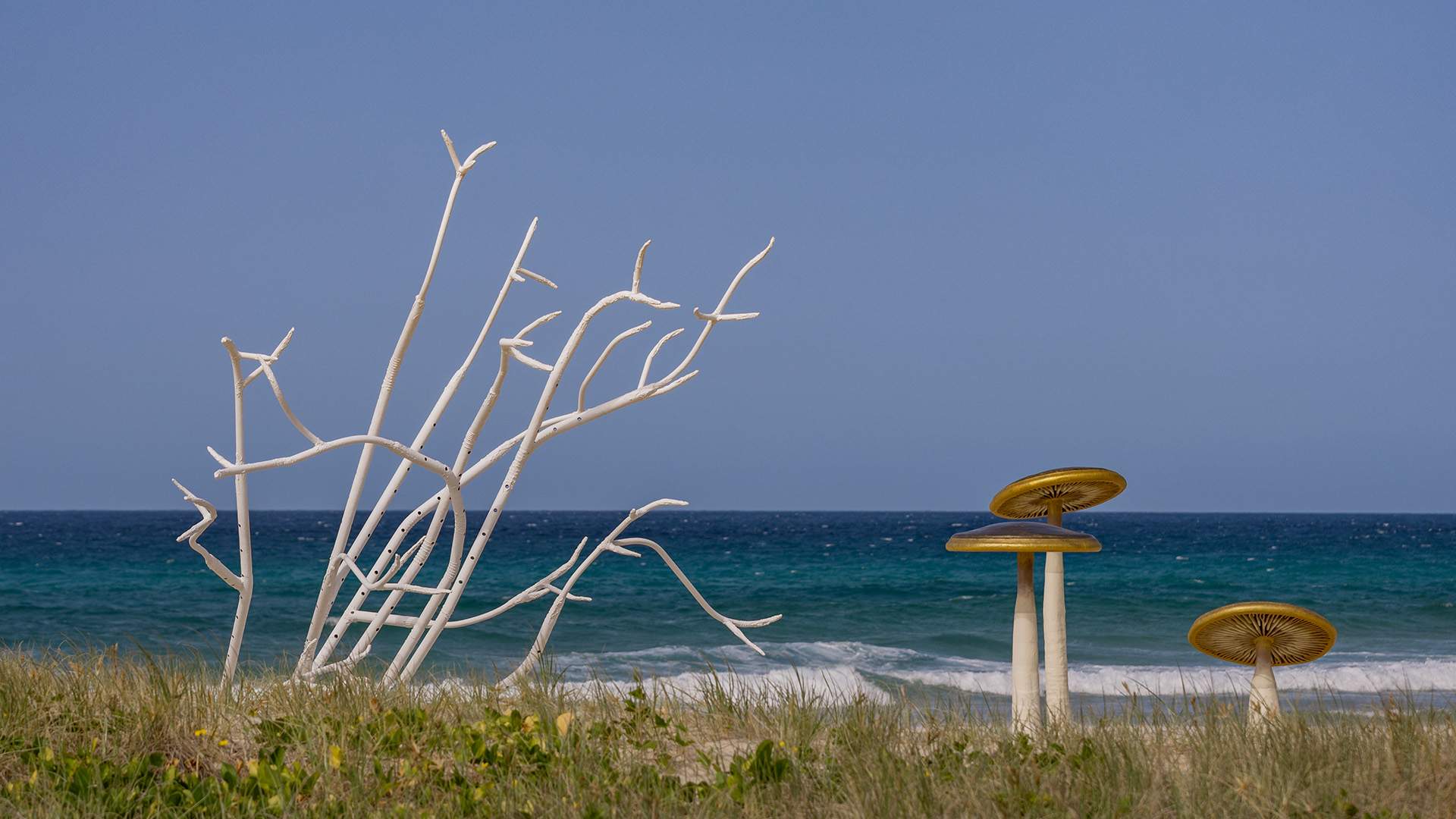 Currumbin's Spectacular Swell Sculpture Festival Is Returning for 2024 to Turn the Beach Into a Free Art Gallery