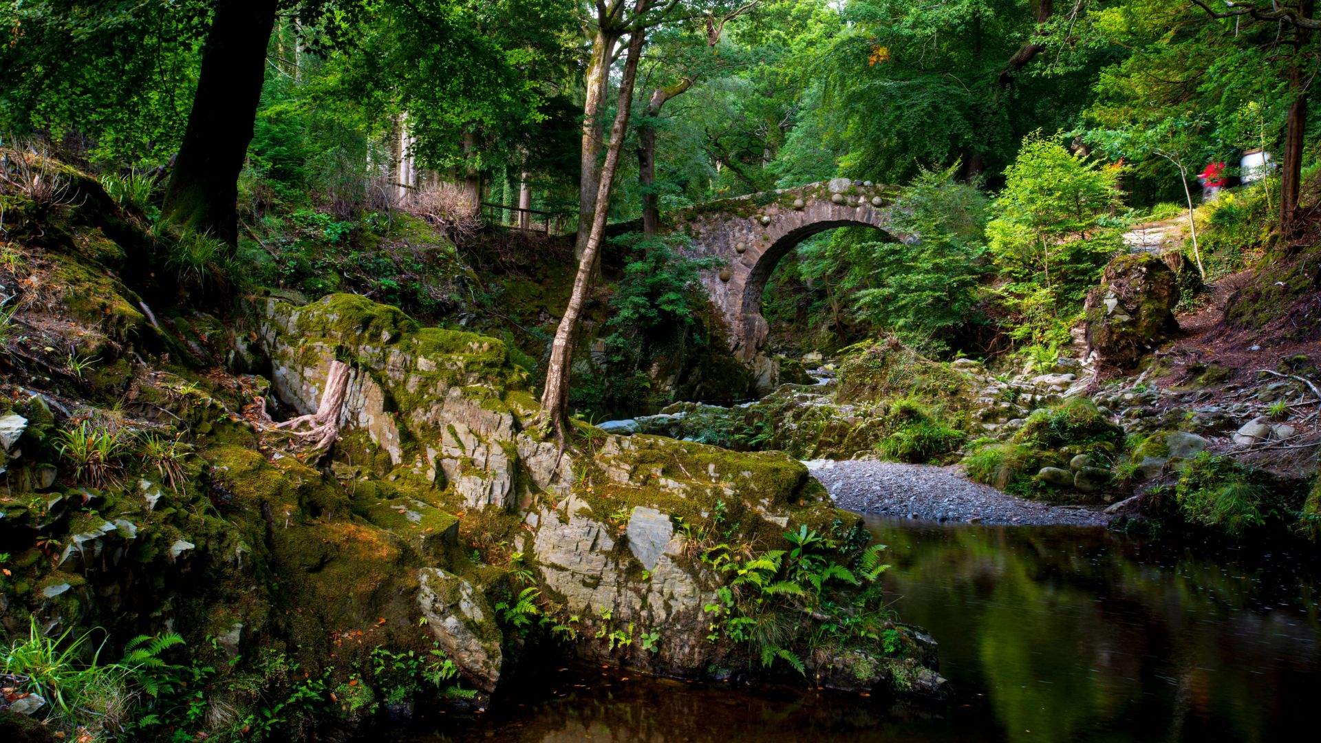 Tollymore Forest