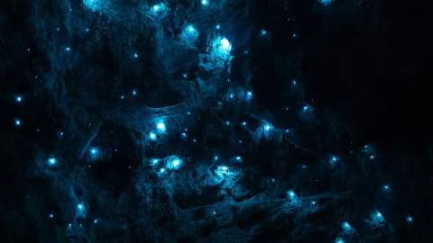 Wollemi National Park's Glow Worm Tunnels Have Reopened