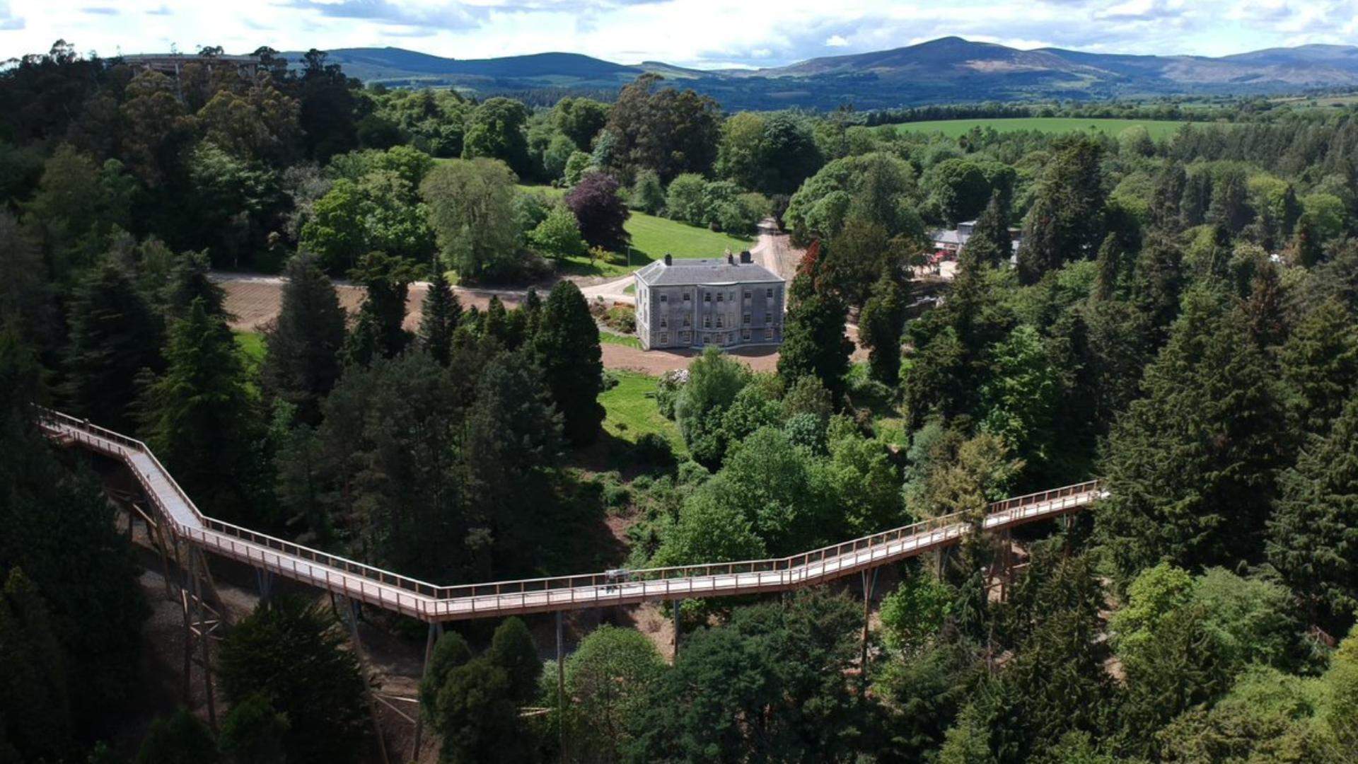 Avondale Tree Top Walk