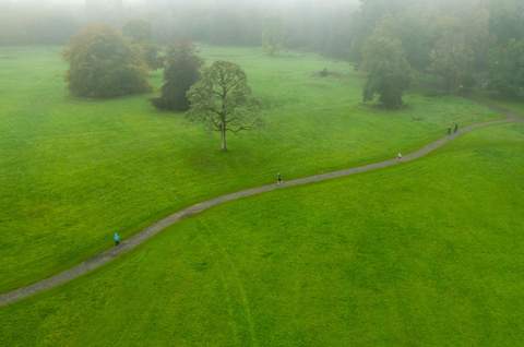 Lough Key Forest Park