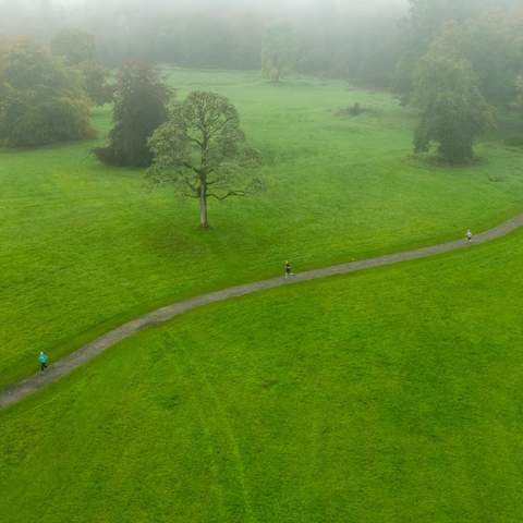 Lough Key Forest Park