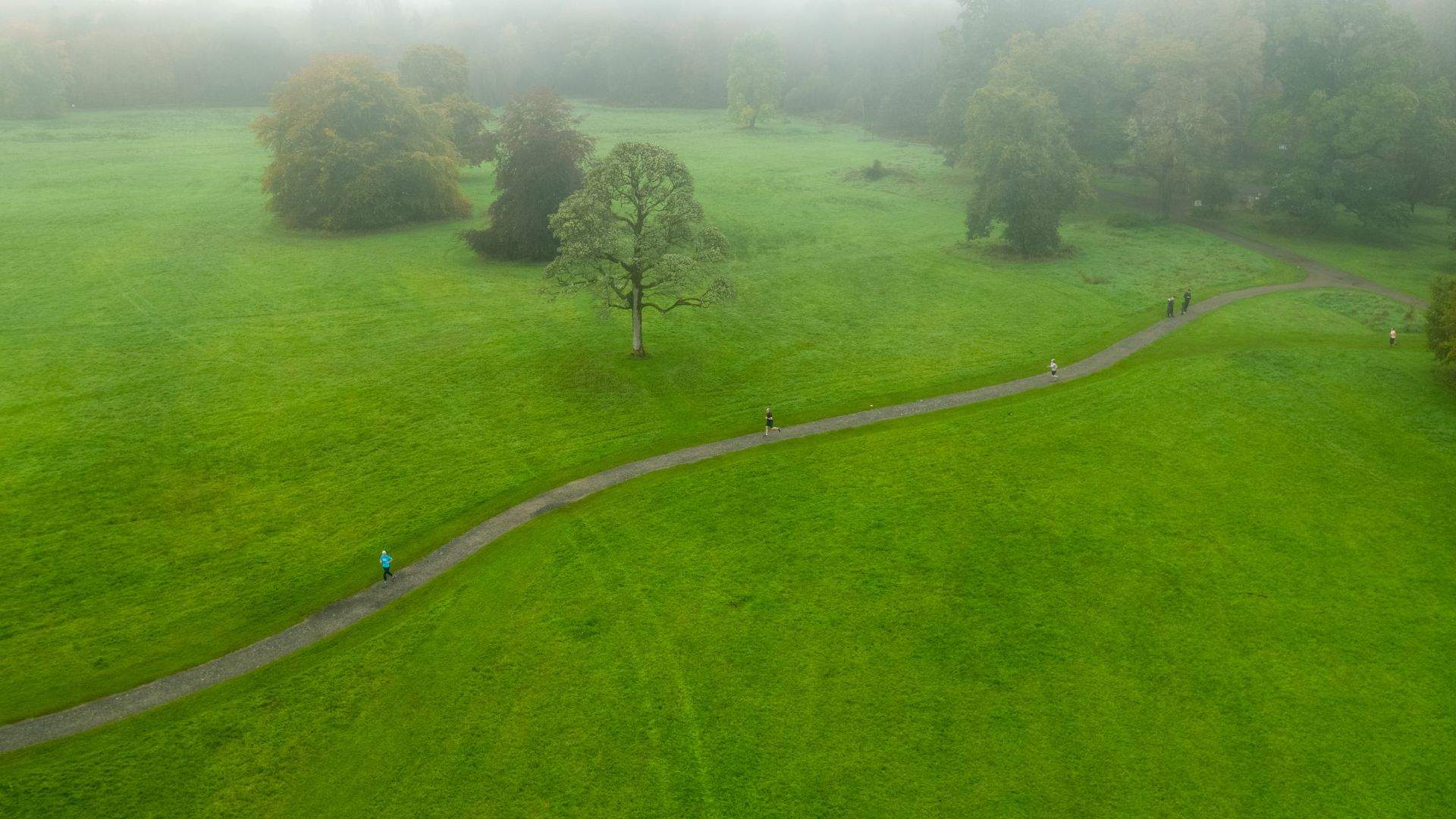 Lough Key Forest Park