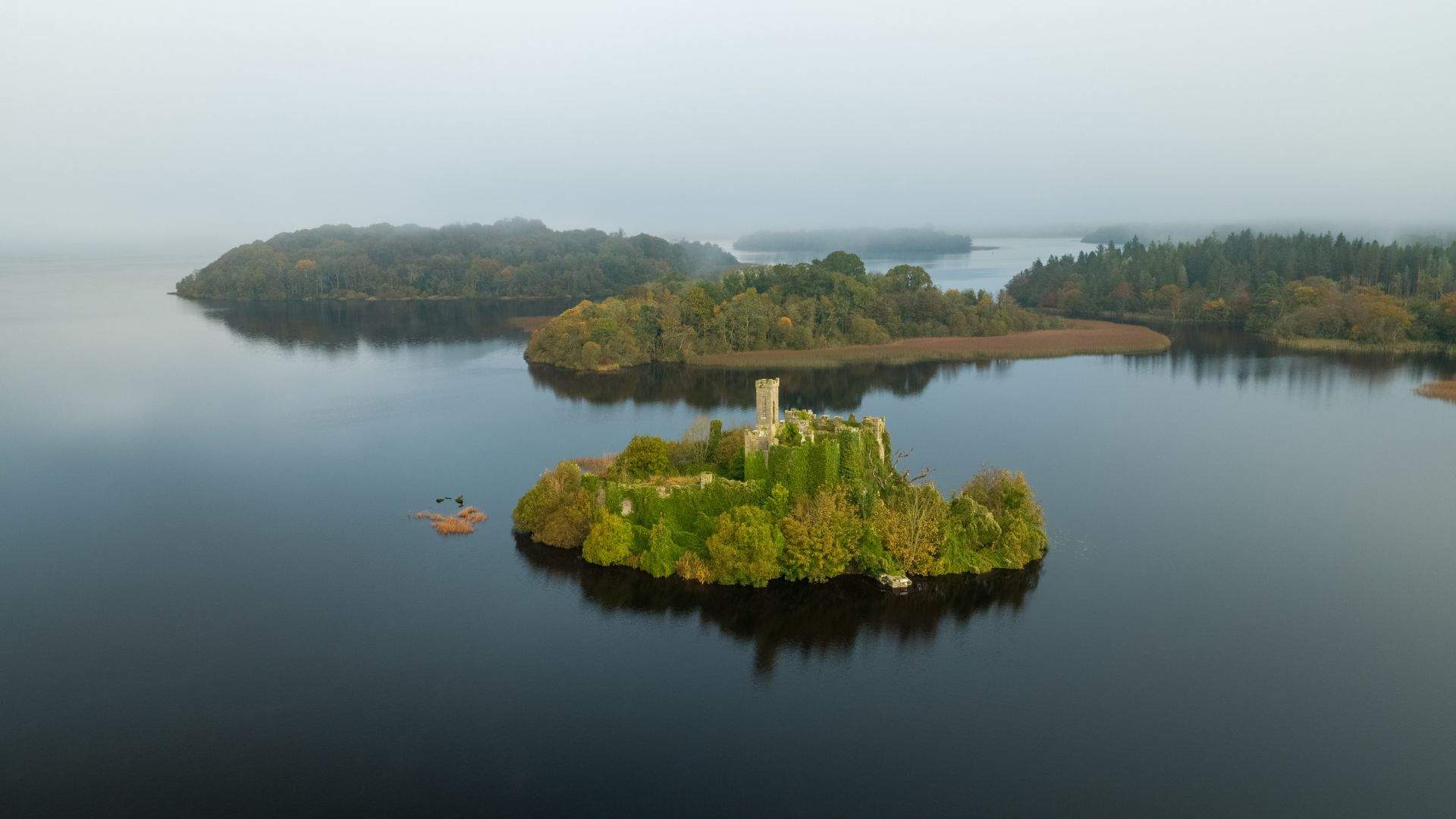 Lough Key Forest Park - Concrete Playground