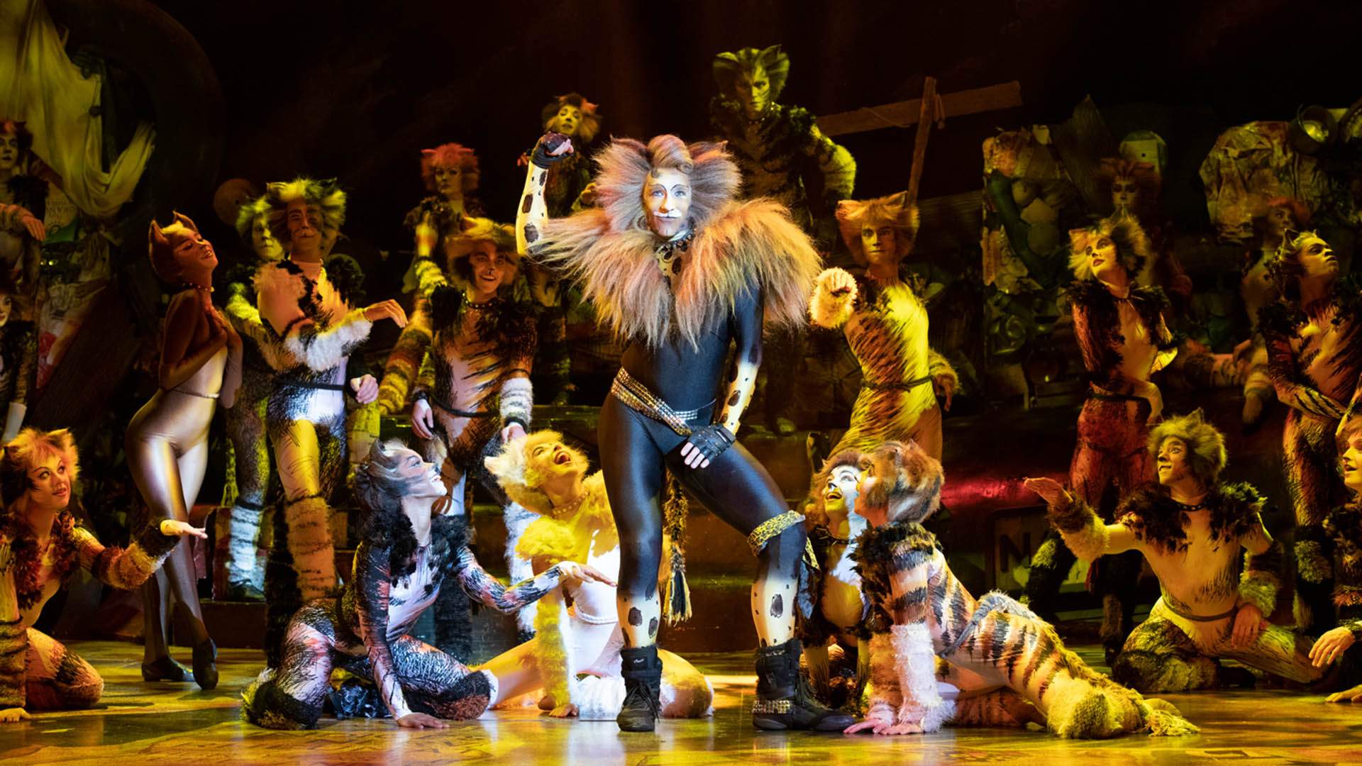 'Cats' Is Returning to the Stage Down Under to Celebrate Its 40th Australian Anniversary