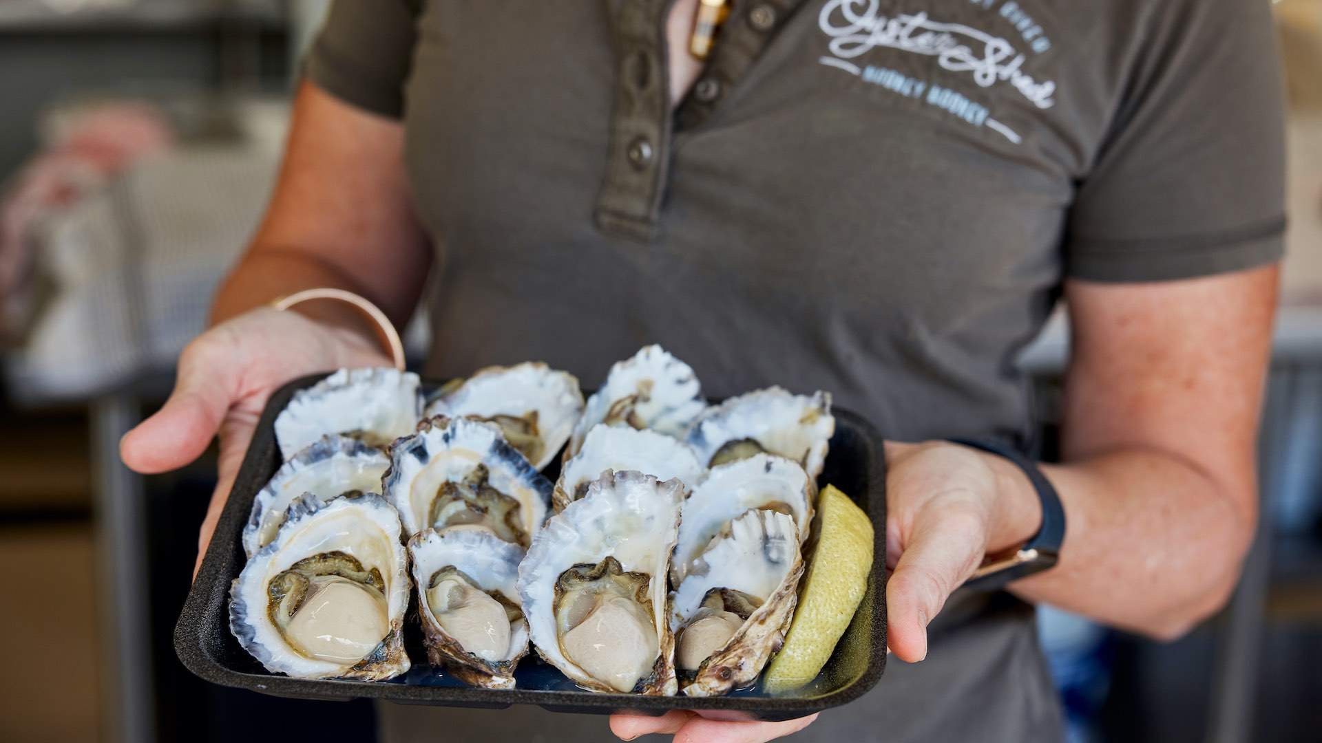 Brisbane Waters Oyster Festival