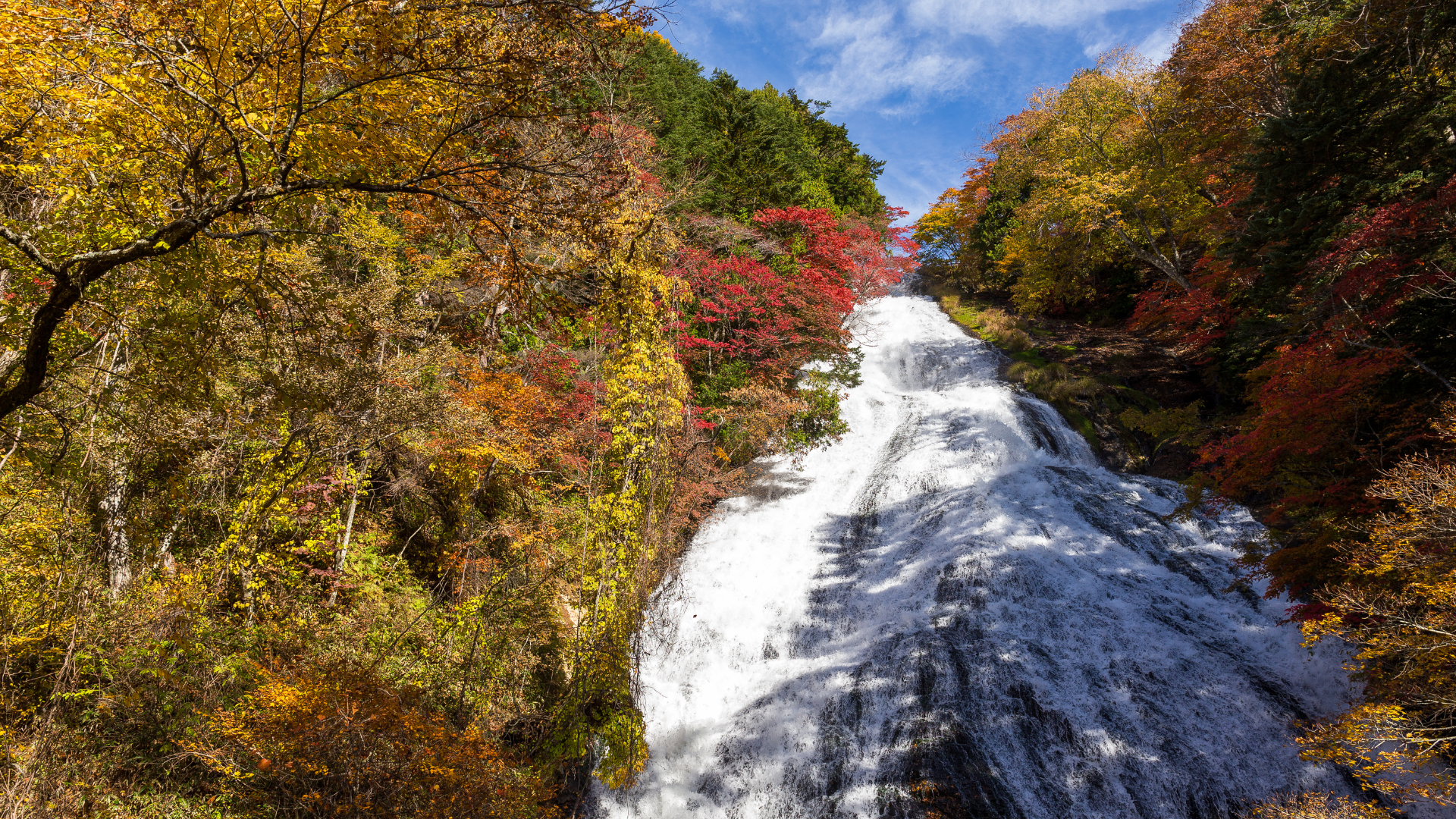 Nikko