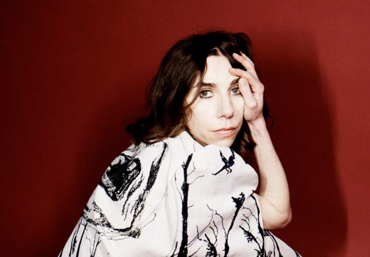 Background image for The 2025 Golden Plains Lineup Is Here with PJ Harvey, Fontaines DC, 2manydjs, Kneecap and More