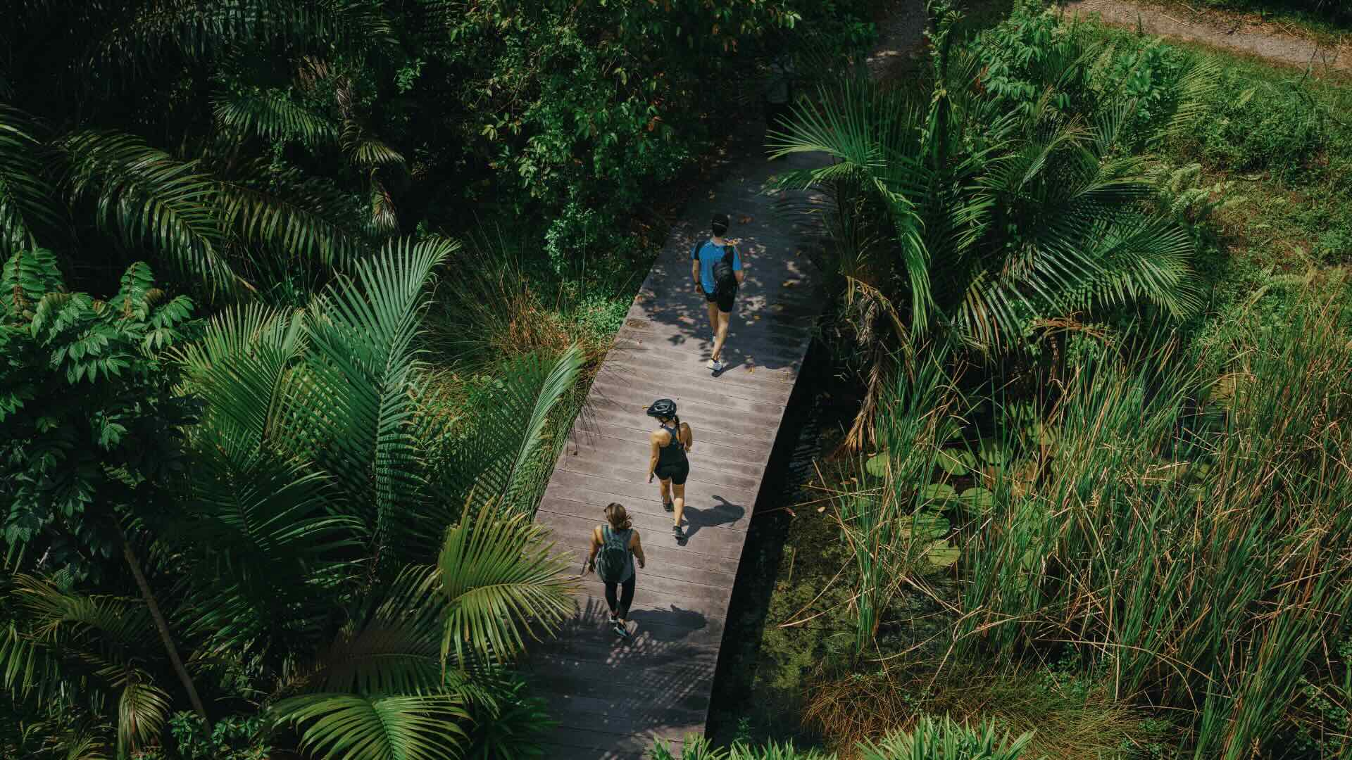 Five Unexpected Ways to Experience Nature in Singapore