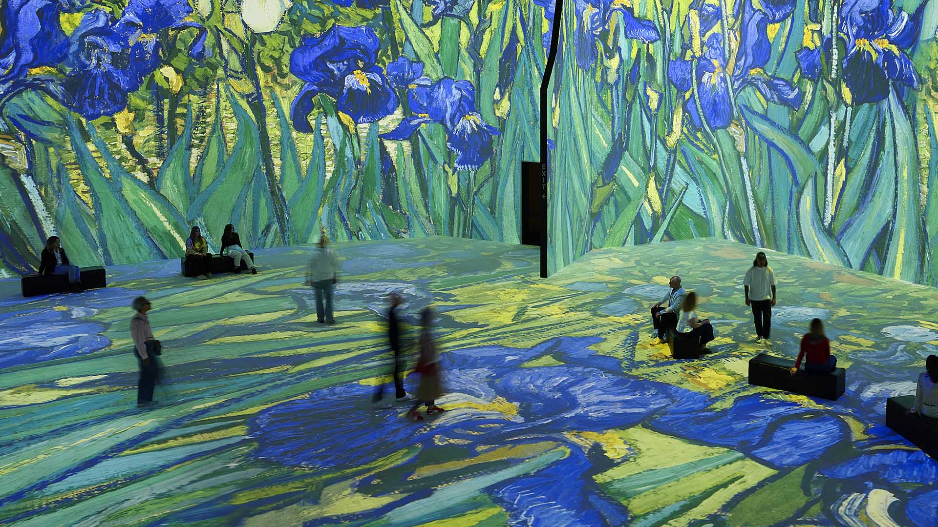 Van Gogh at The Lume