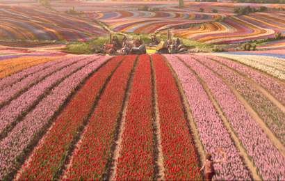 Background image for More Than the Yellow Brick Road: Production Designer Nathan Crowley Talks Bringing 'Wicked' to the Big Screen