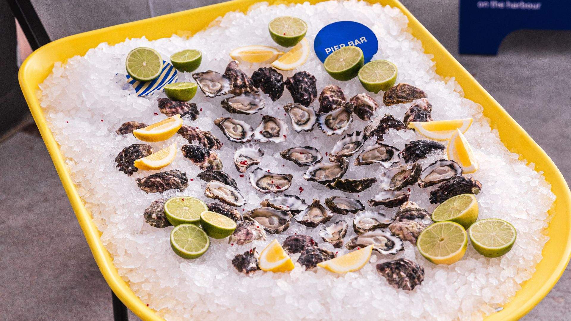 Pier One X East 33 Oyster Deals