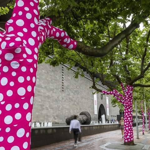 Yayoi Kusama Is Turning 60-Plus Melbourne Trees Into Her Latest Polka Dot-Covered (and Bright Pink) Artwork