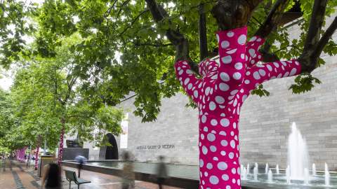 Yayoi Kusama Is Turning 60-Plus Melbourne Trees Into Her Latest Polka Dot-Covered (and Bright Pink) Artwork