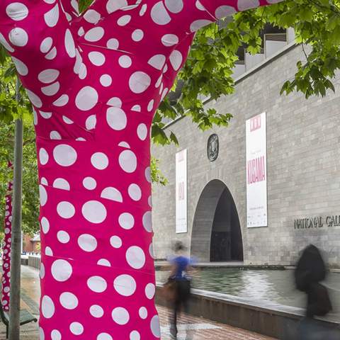 Yayoi Kusama Is Turning 60-Plus Melbourne Trees Into Her Latest Polka Dot-Covered (and Bright Pink) Artwork