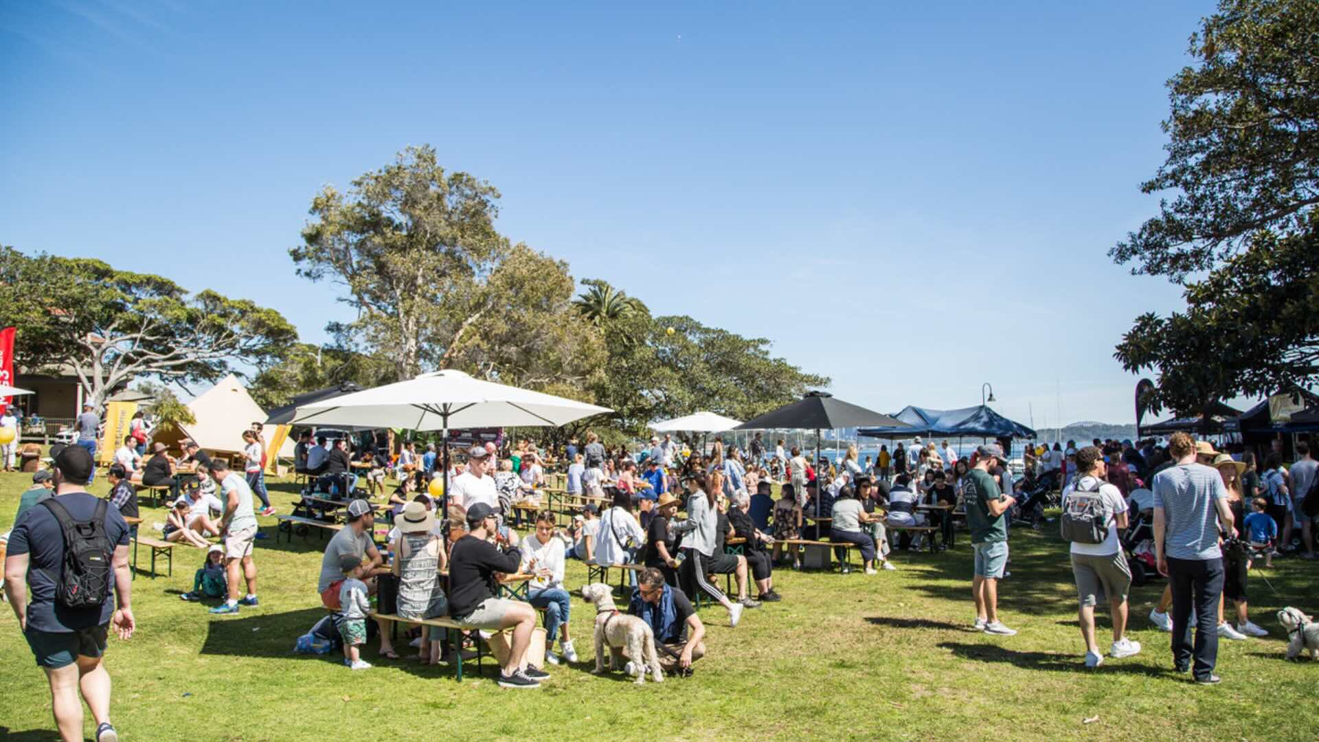 Double Bay Christmas Festival