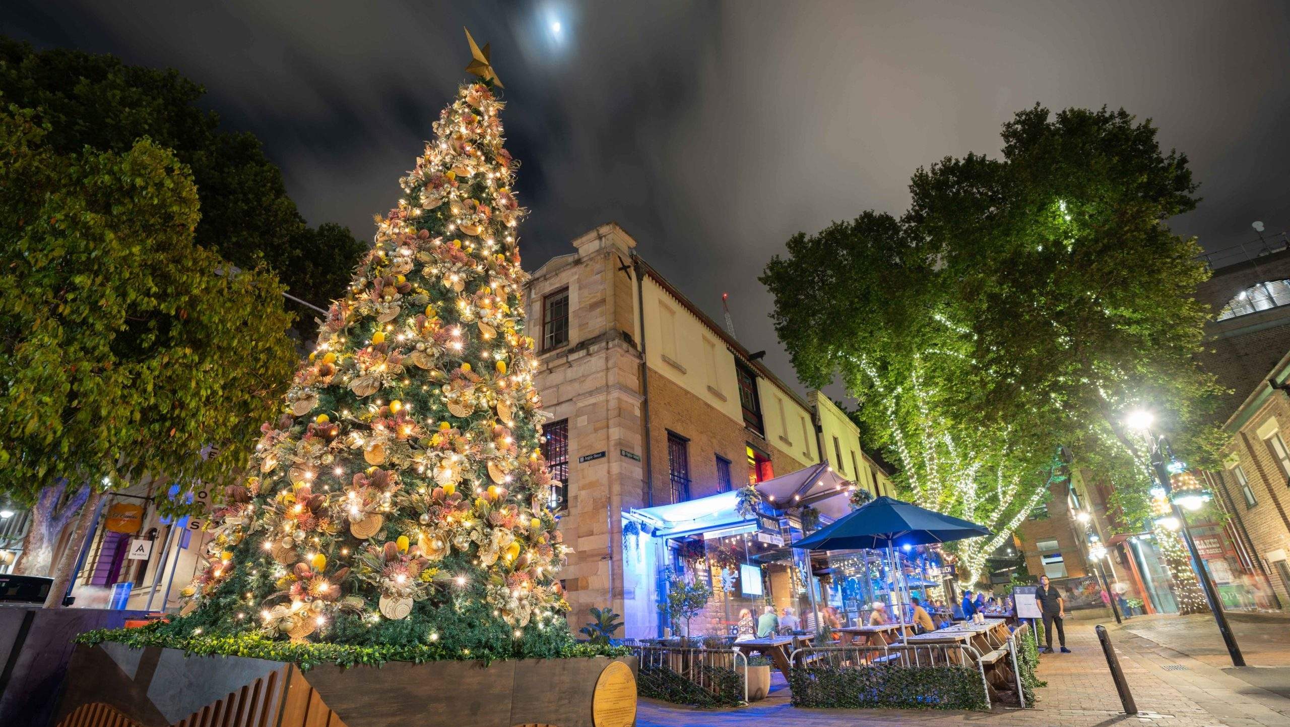 Homegrown Christmas Decorations in The Rocks