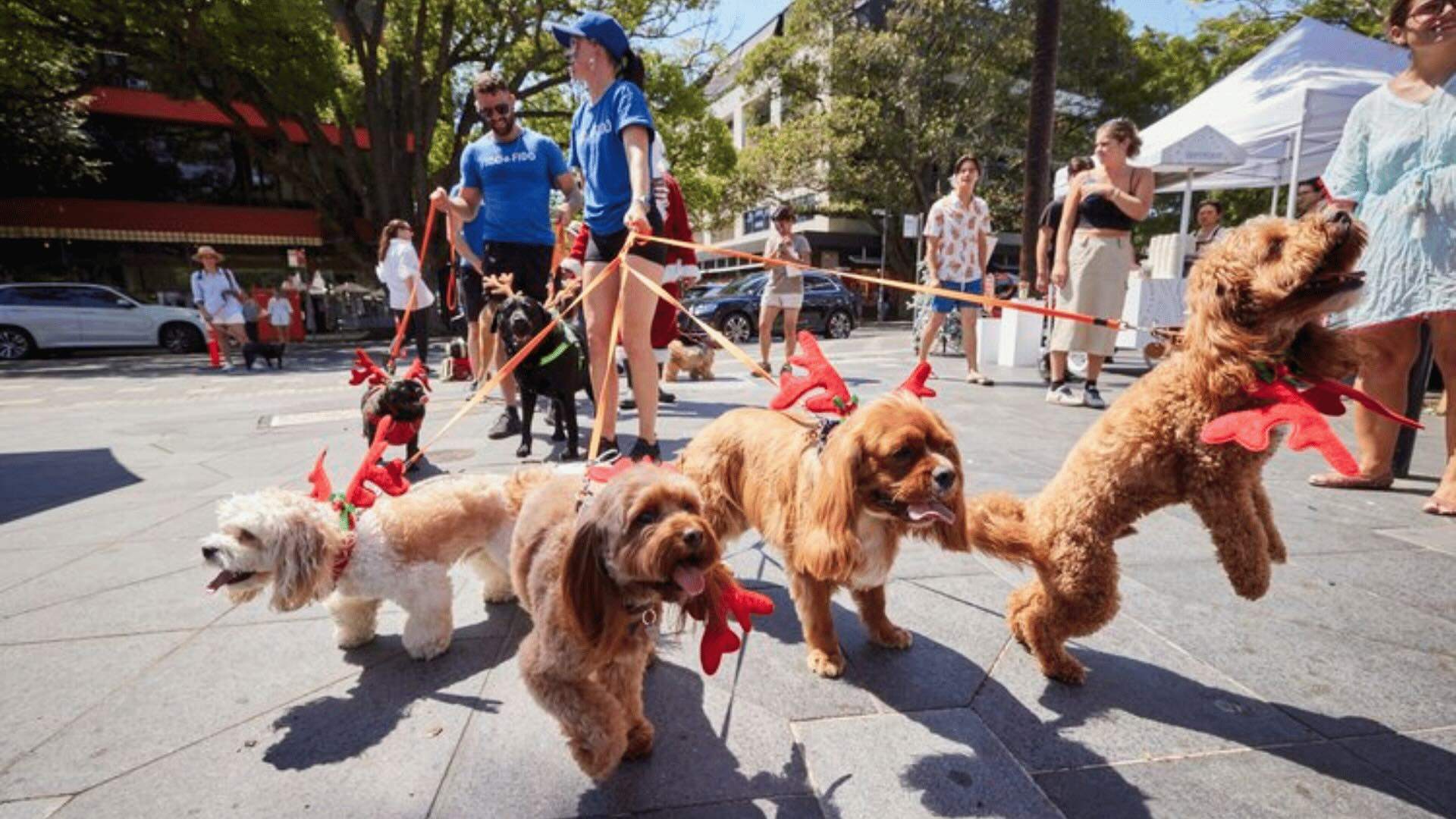 Double Bay Christmas Festival